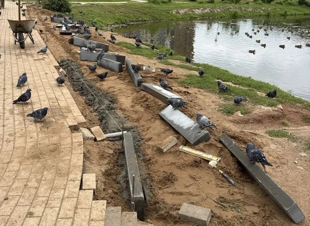 В Метрограде благоустраивают дорожки и зоны отдыха