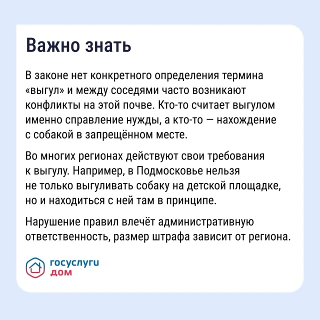 Проживание животных в многоквартирном доме связано с определёнными обязанностями. Разбираемся, как в
