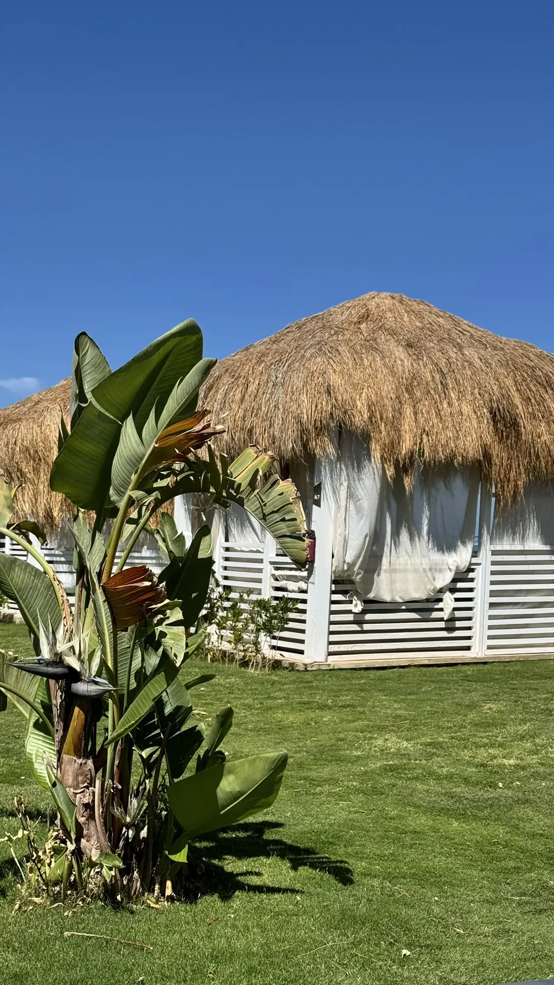 Пейзажи такие 🏖️