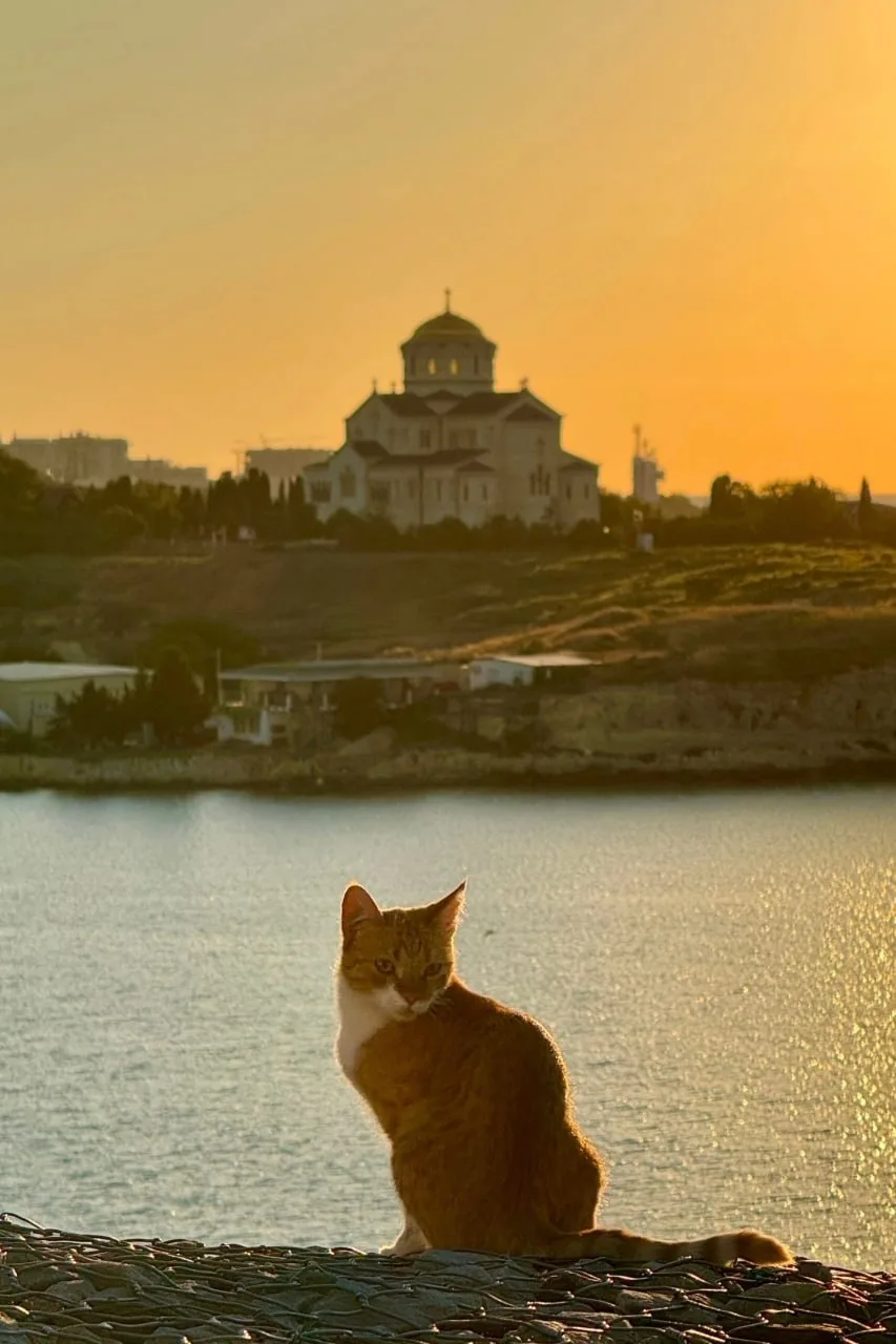 🐈⛪️ Вид на Свято-Владимирский собор в Херсонесе с набережной Примирения в Севастополе