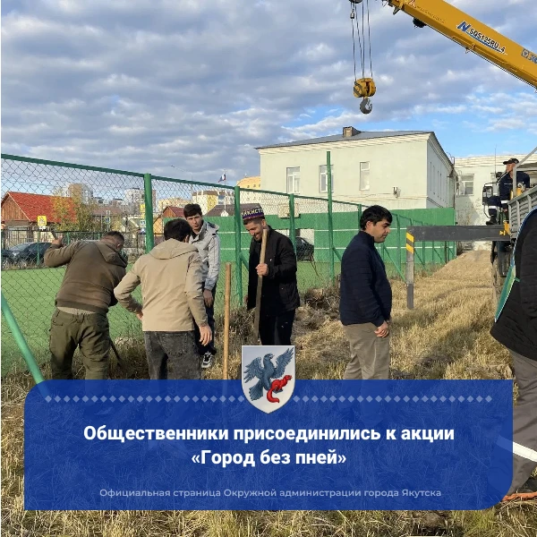 Общественники присоединились к акции «Город без пней»