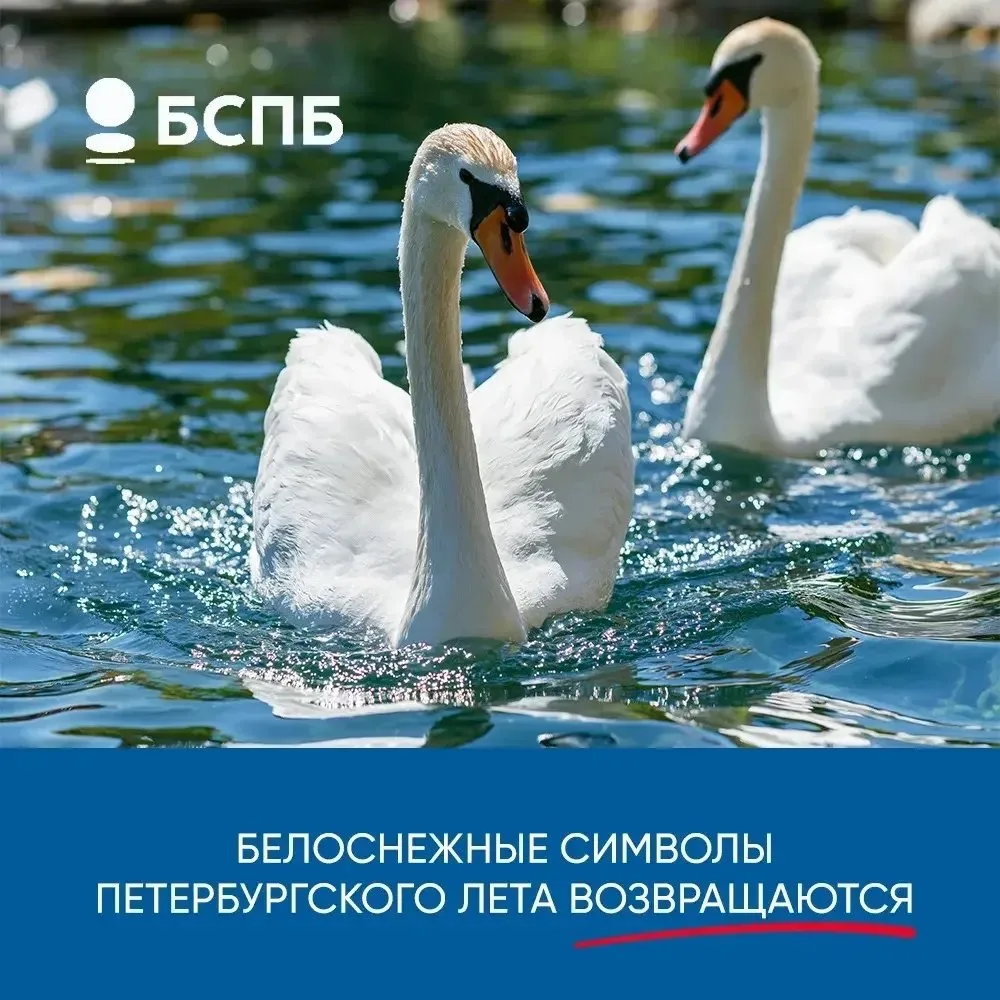 Настоящее лето в Северной столице начинается не по календарю. Оно наступает в тот момен...