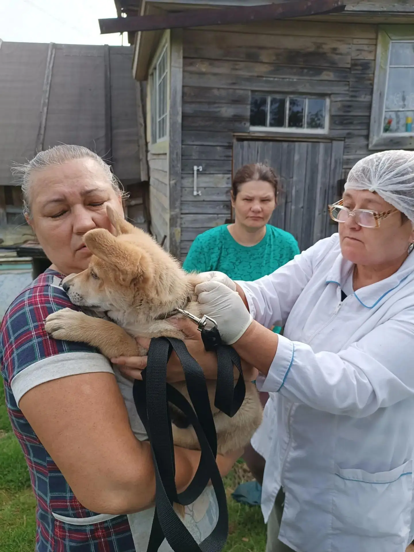 🏥 В рамках профилактических мероприятий специалистами ОБУ „Окуловская райветстанция“ о...