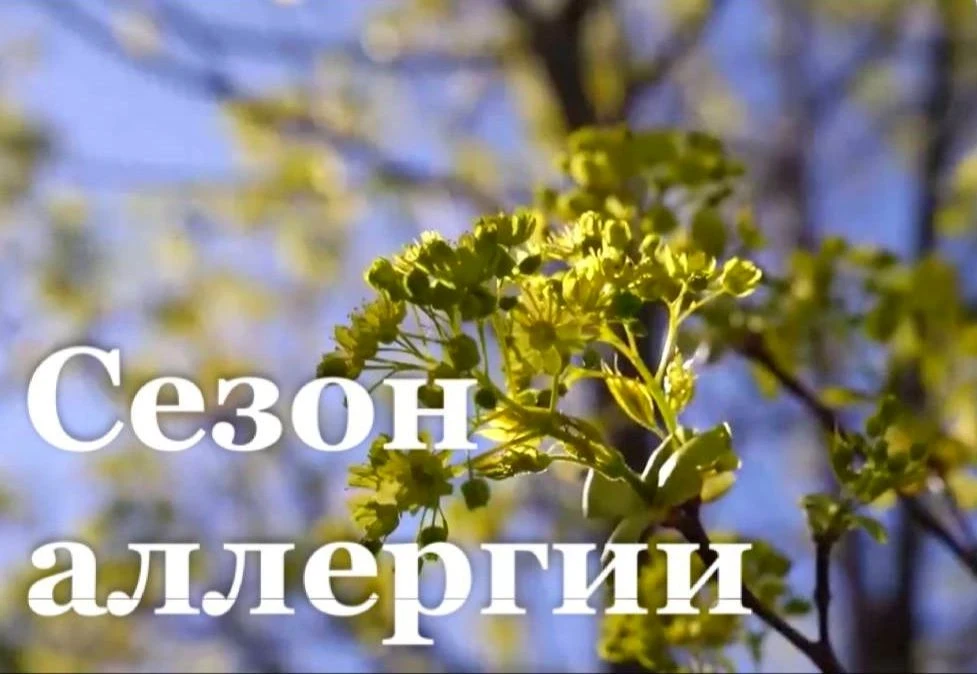Аллергия наступает! Как встретить сезон во всеоружии?

Весна/лето/осень – время цветения и... аллерг