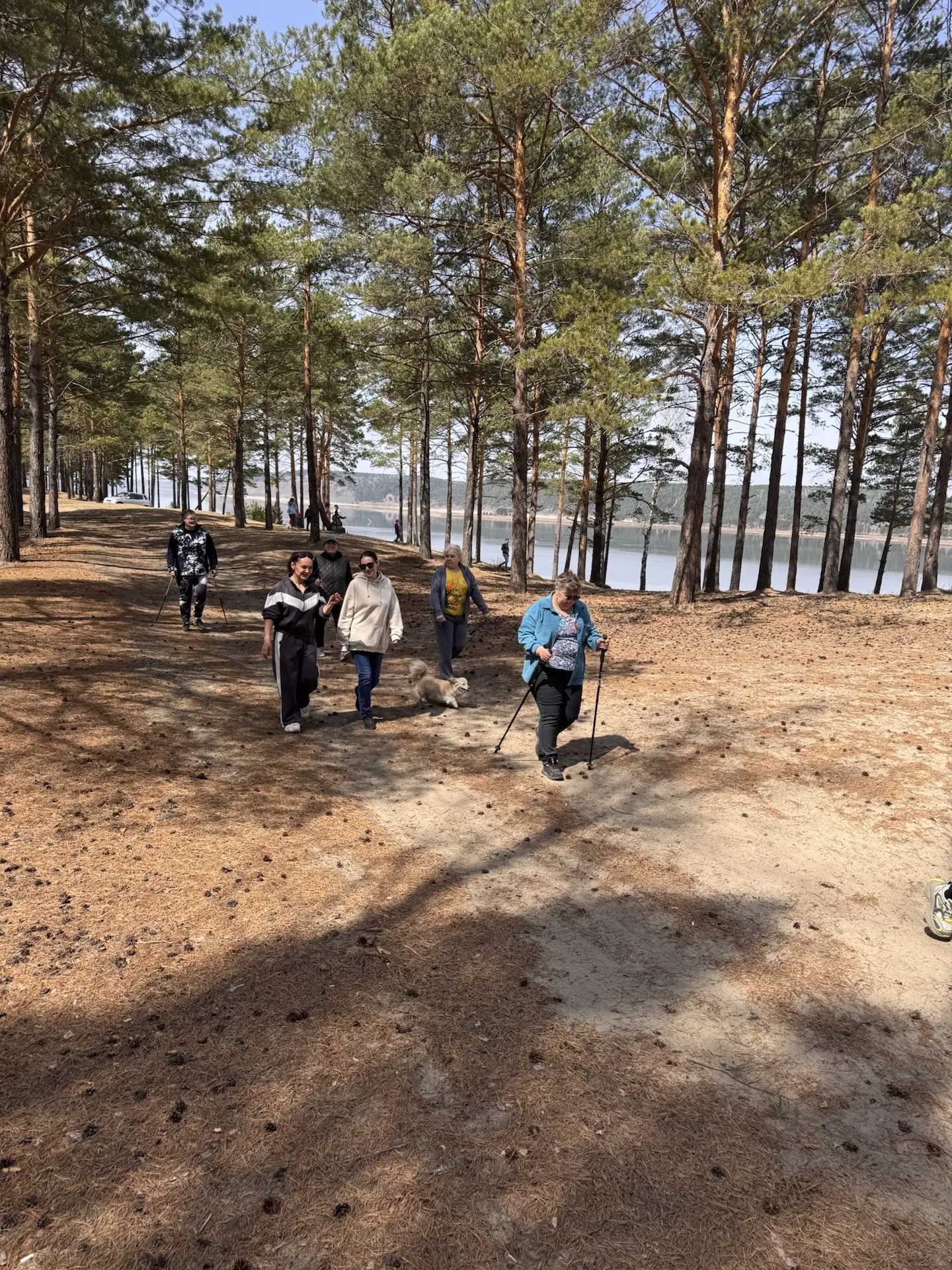 Сегодня 02.05.2026 на берегу реки Ангары состоялся марафон по скандинавской ходьбе,  приуроченный Дн