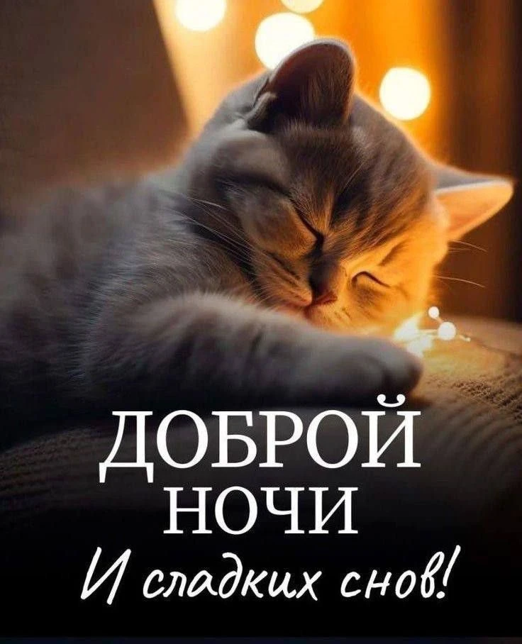 Красивые открытки❤️