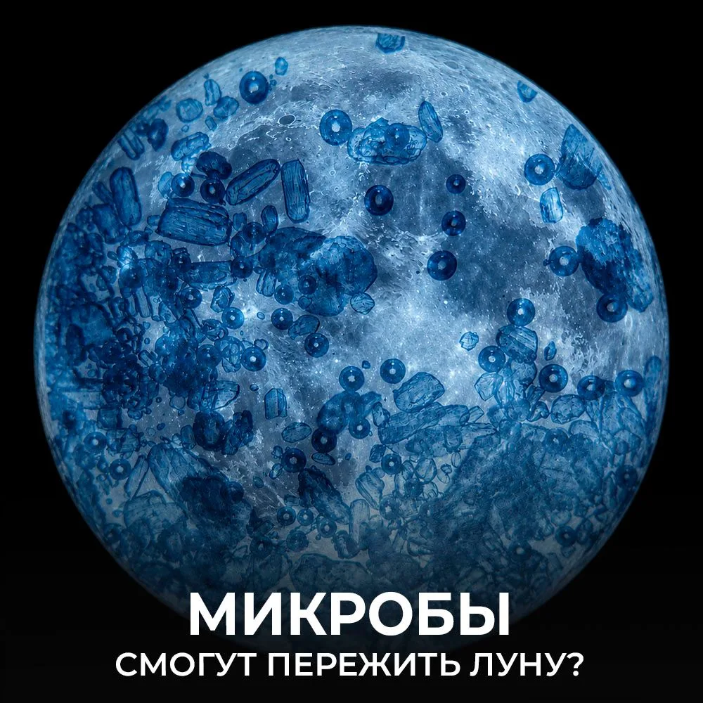 Как наш спутник сохраняет земную жизнь