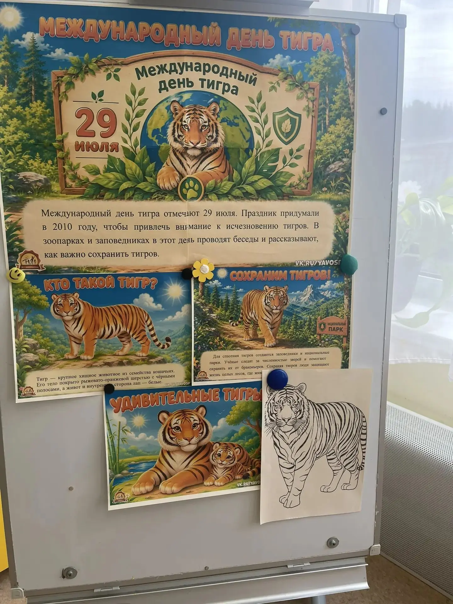 🐯 Международный день тигра 🐯
Сегодня наши воспитанники познакомились с одним из самых красивых и с