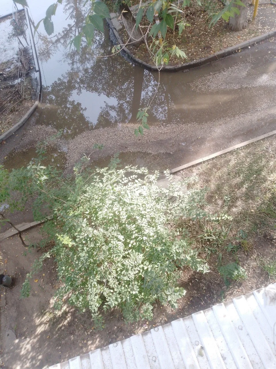 Во дворе на Белорусской вовсю хлещет вода