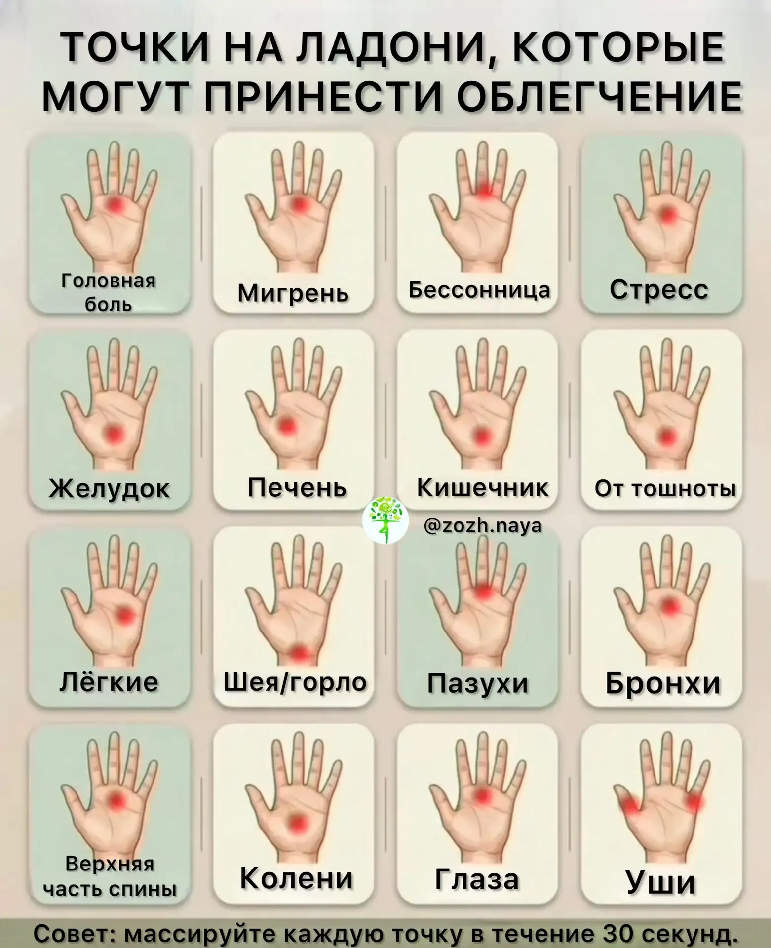 Существуют древние секреты, которые могут раскрыть наши руки, чтобы избавить нас от сов...