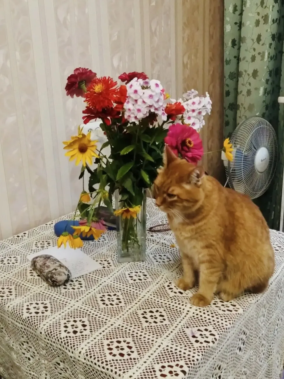 Когда приезжаю в Ульяновск, я сразу чувствую, что приехала именно к бабуле