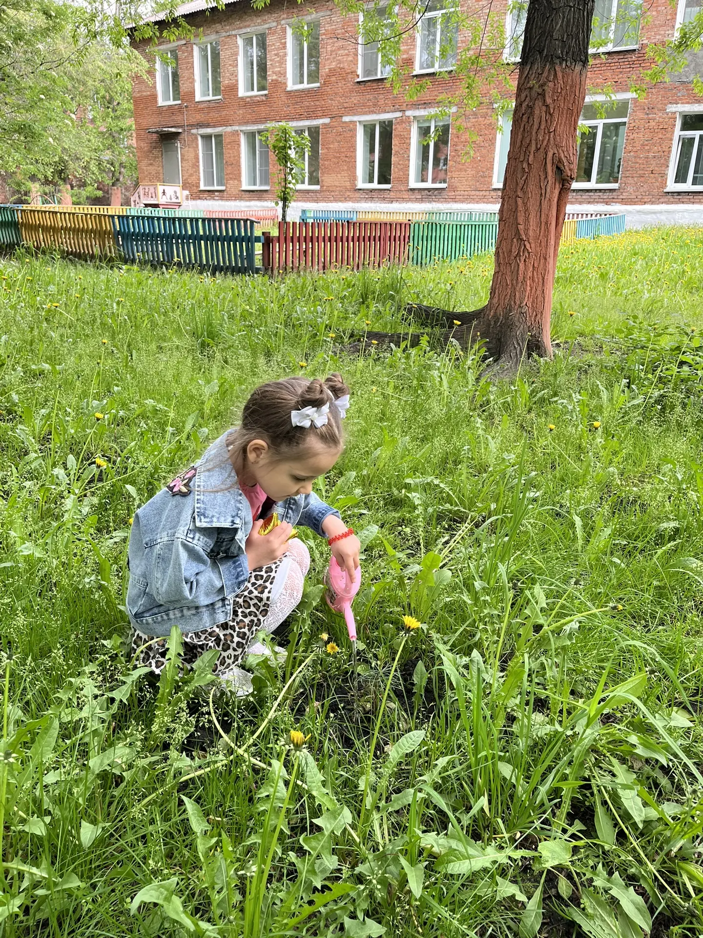 ЗАБОТИМСЯ О САЖЕНЦАХ