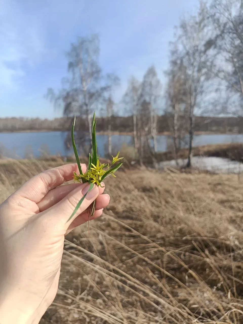 Доброго понедельничного дня, коллеги!  Впереди короткая, но очень продуктивная и насыщенная неделя. 