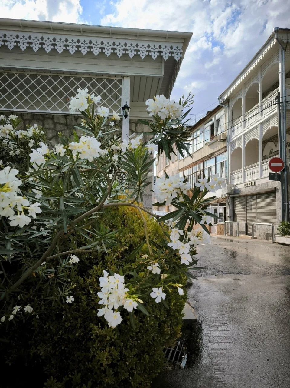Ловите невероятные карточки Алупки ❤️