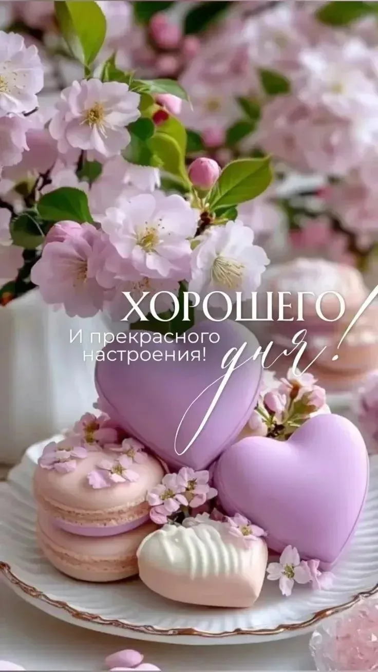 ОТКРЫТКИ И ПОЗДРАВЛЕНИЯ 
Наш канал в MAX