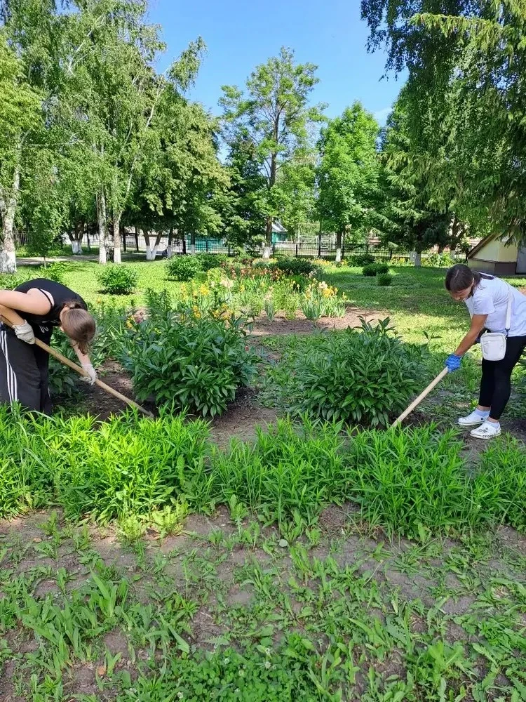 🌹Школьный цветник🌷