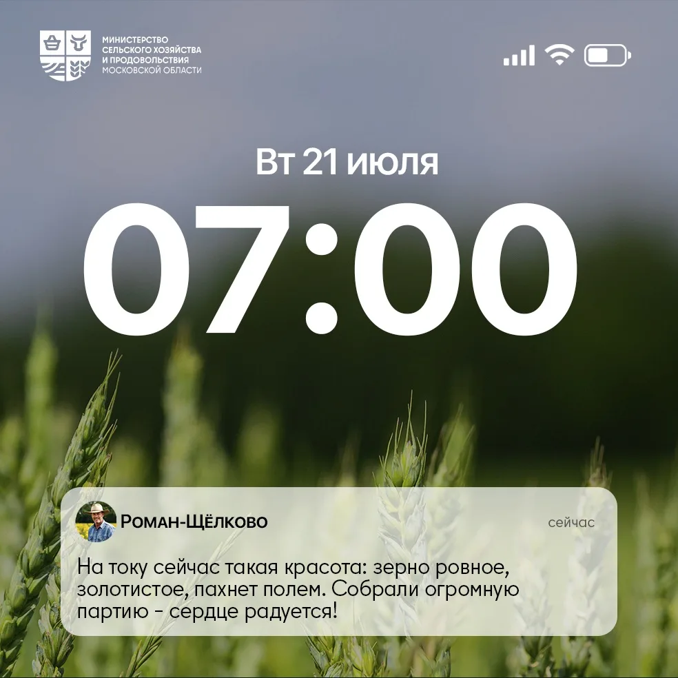 📱 На ваш телефон пришло новое сообщение – посмотрите, вдруг там что-то важное