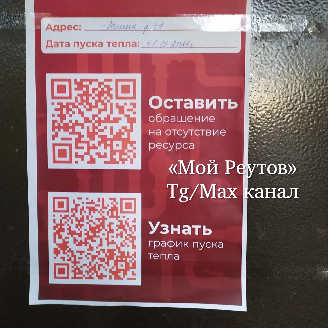 ⁉️ Здравствуйте!