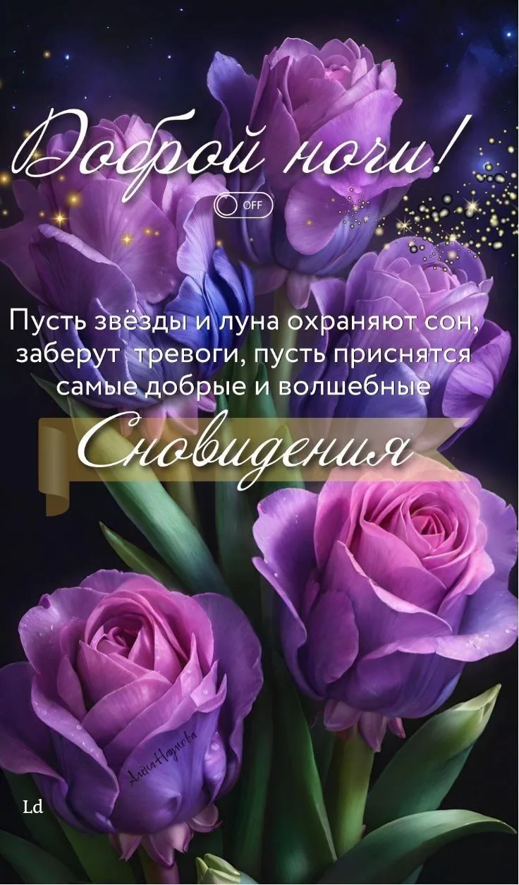 https://max.ru/invista123456