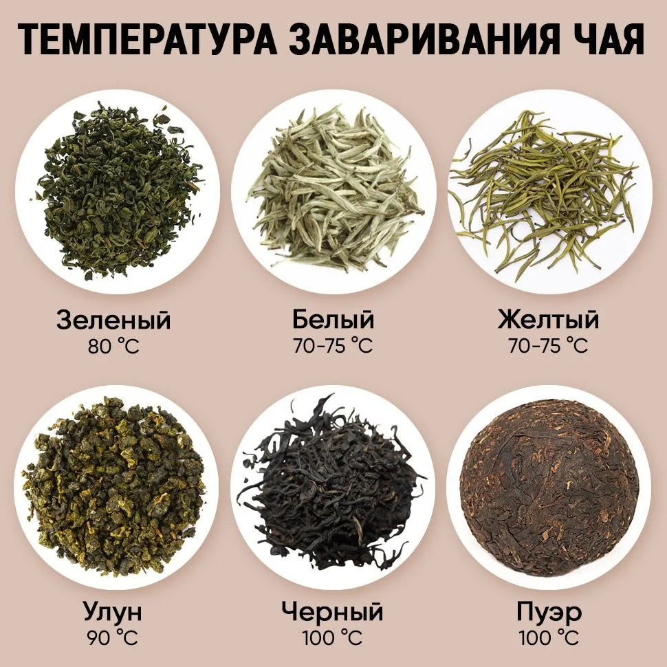 Как правильно заваривать чай: температура для шести видов напитка