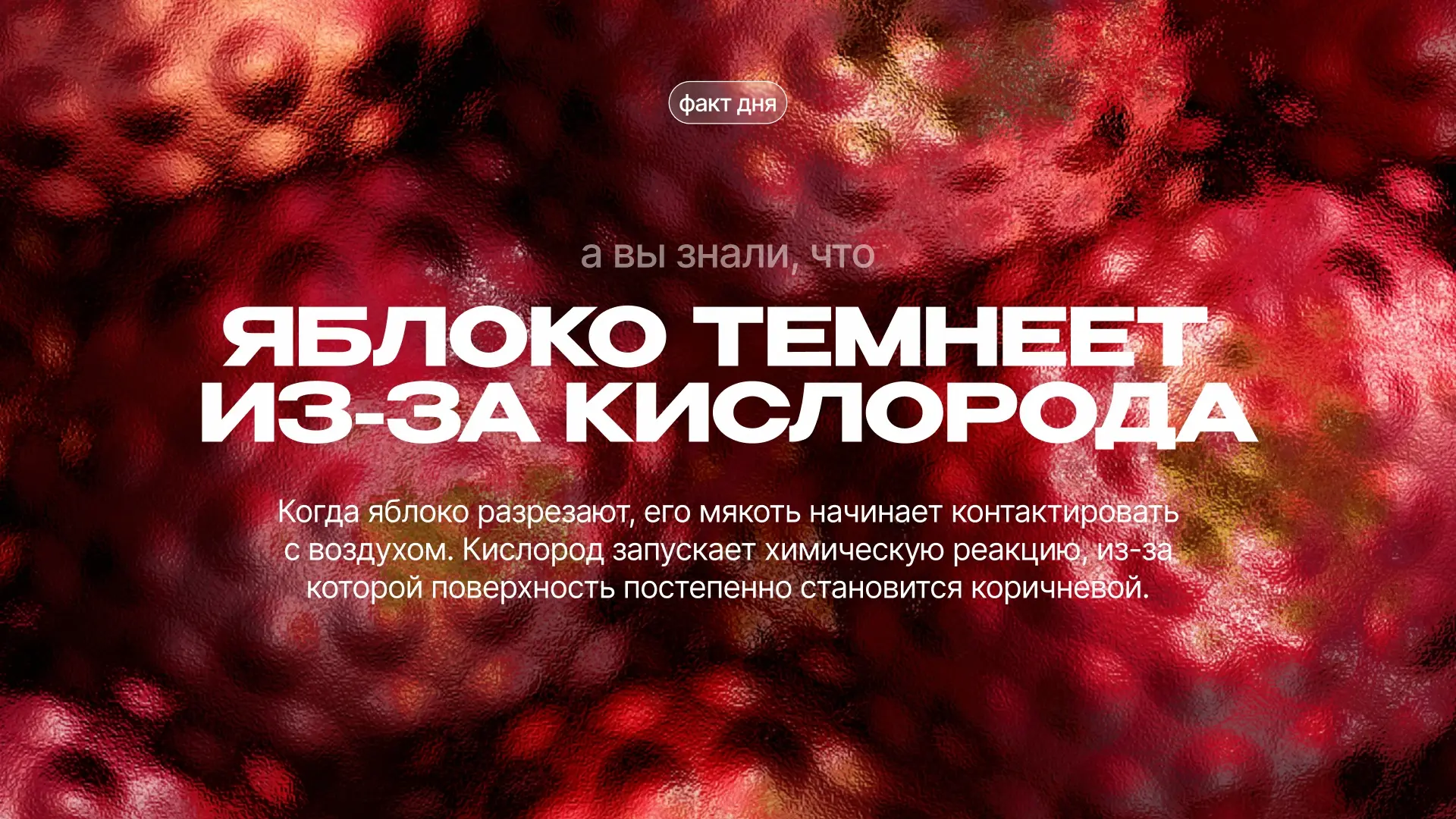 ⚗️ Удивительный факт выходного дня

Химия окружает нас повсюду, даже если мы этого не замечаем. Мног