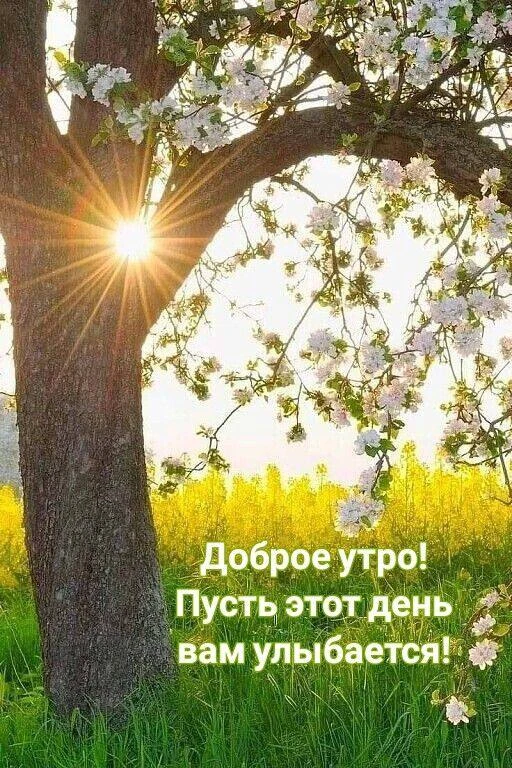 Весны, надежды, тепла и очень светлого дня!🌞С добрым майским утром!❤️