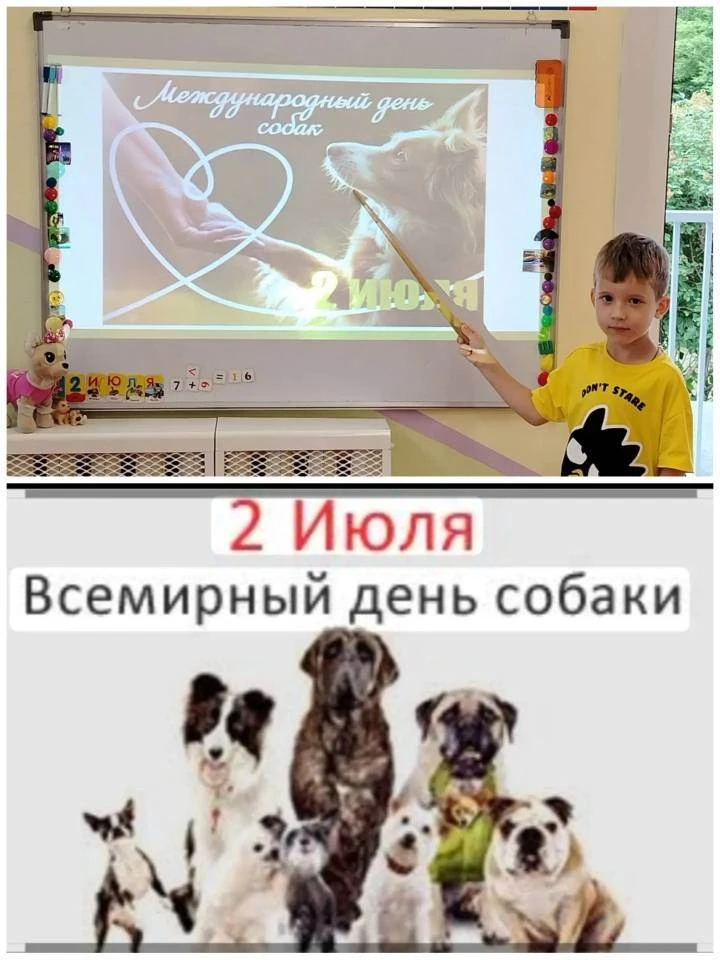 Хвост виляет настроением: как мы отметили День собаки! Сегодня  2 июля  в старшей   группе ,, Берёзк