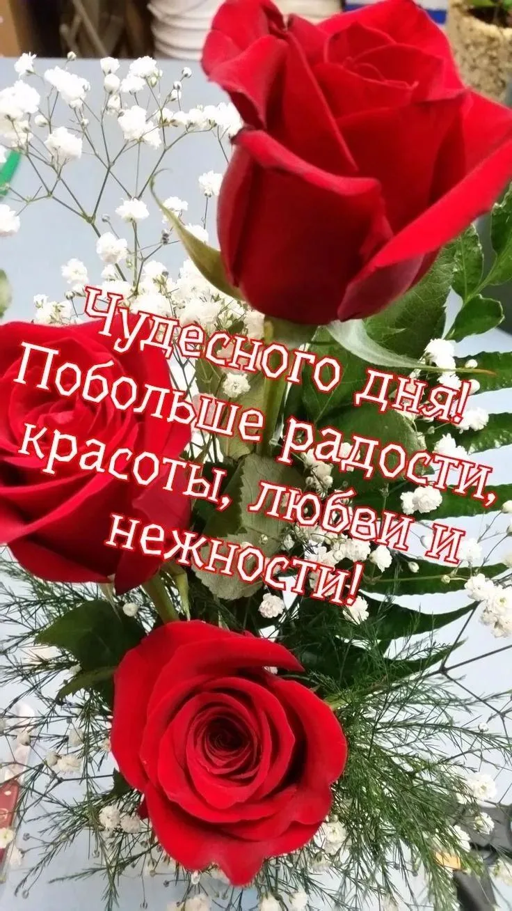 ✨❤️❤️❤️🍬✨