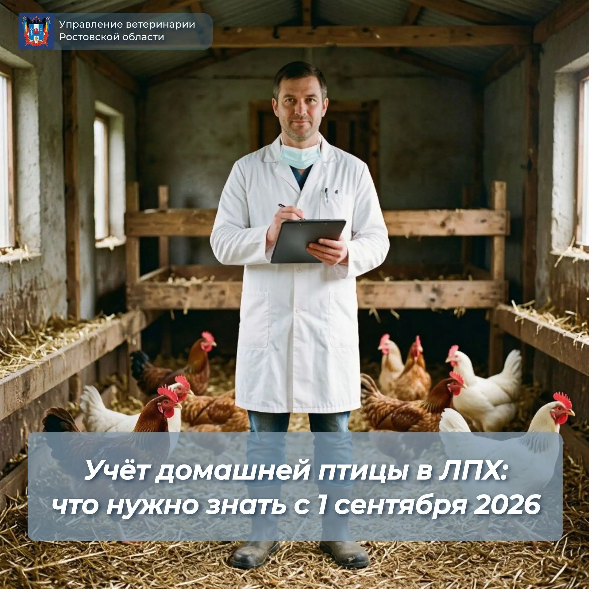 1 сентября 2026 года вступают в силу обязательные требования по учёту домашней птицы в ...