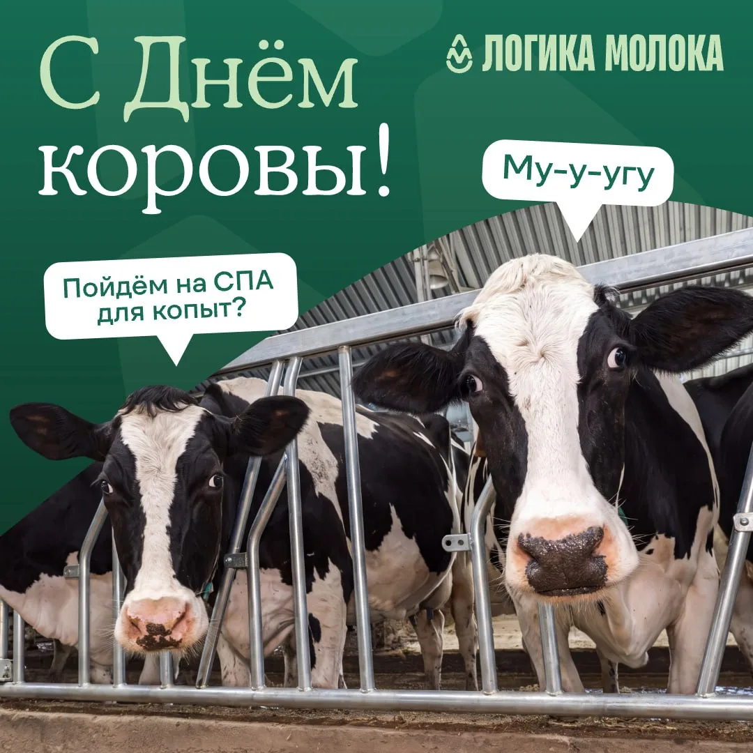 Изображение 1 к публикации «Логика молока»