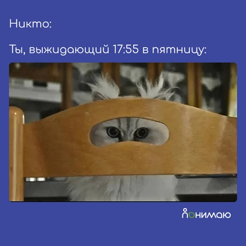 Еще чуть-чуть и выходные!