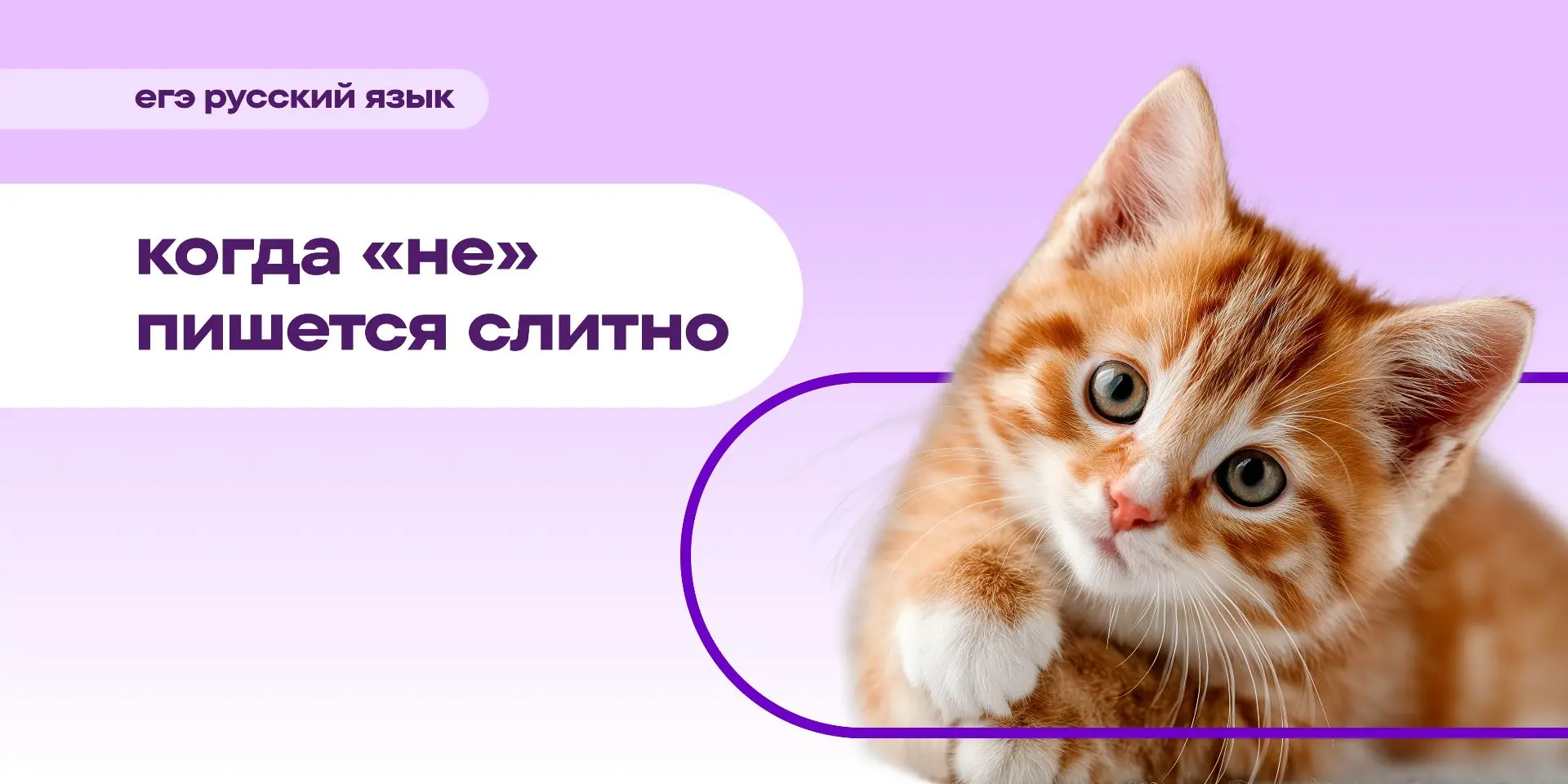 Если бы Гамлет изучал русский язык, его вопрос к мирозданию звучал бы «слитно или не сл...