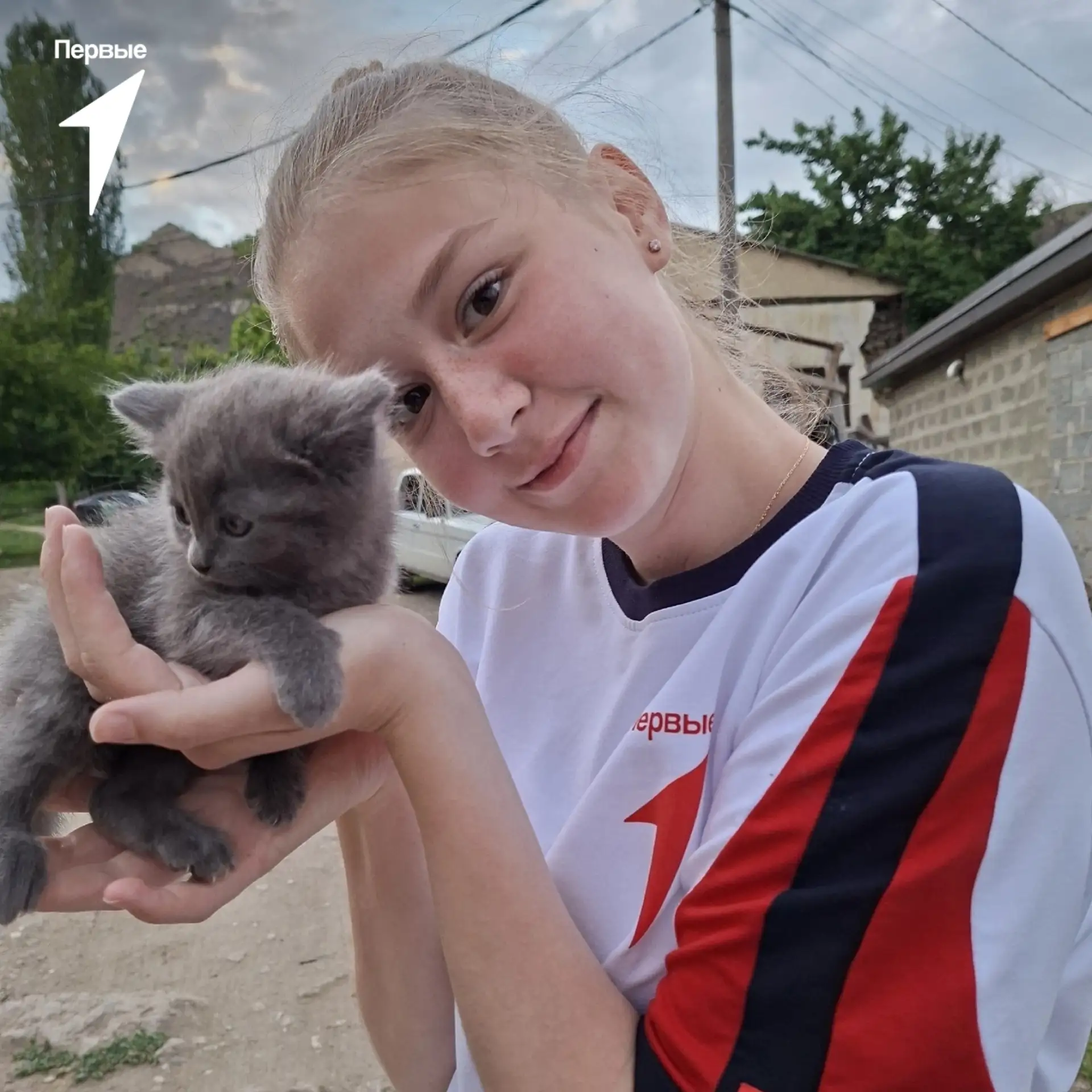 Что ж делать, что ж делать?.. Предлагаем помогать четвероногим друзьям или снимать крас...