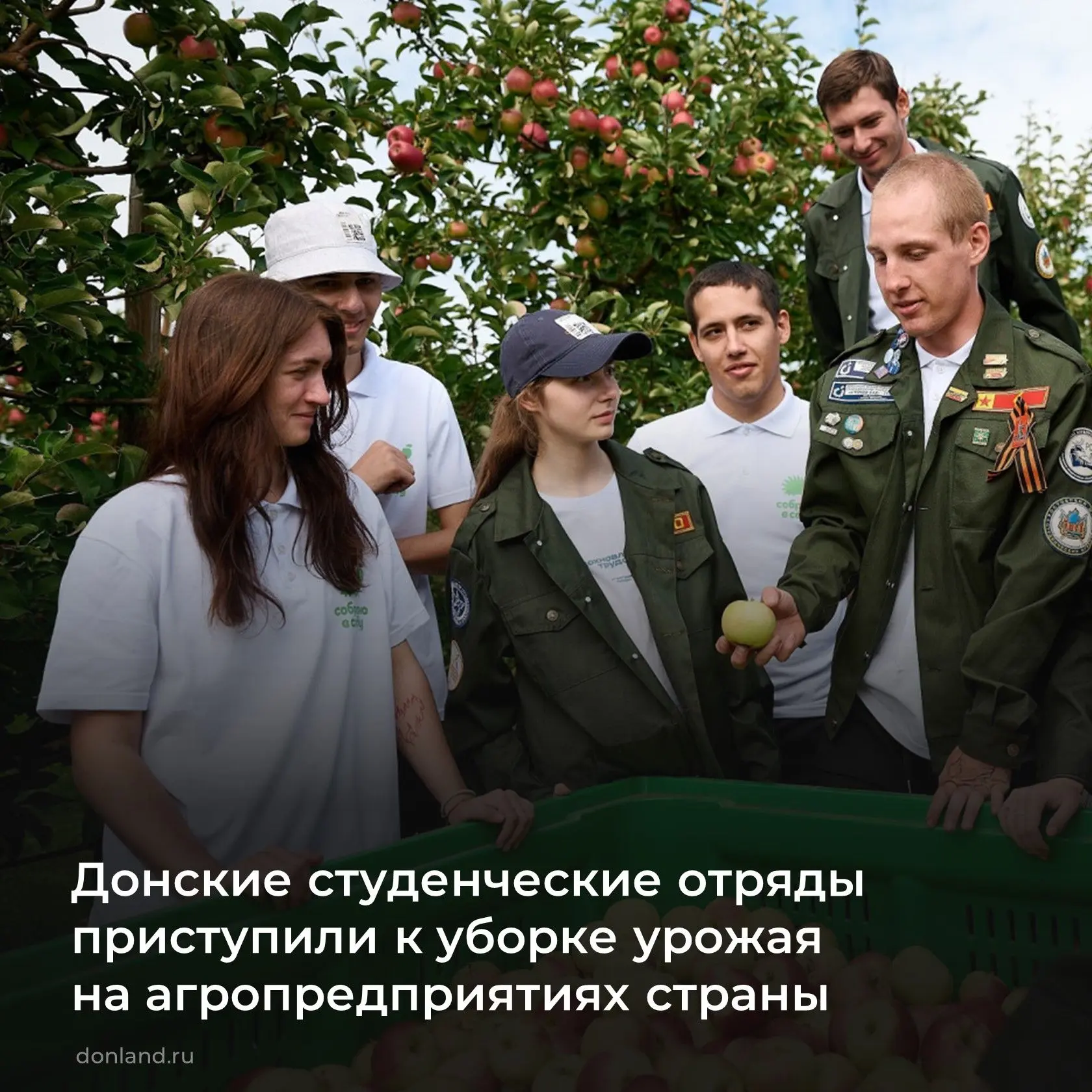 📌 Этой весной и летом студенты вузов и колледжей Дона бесплатно освоили рабочие профес...