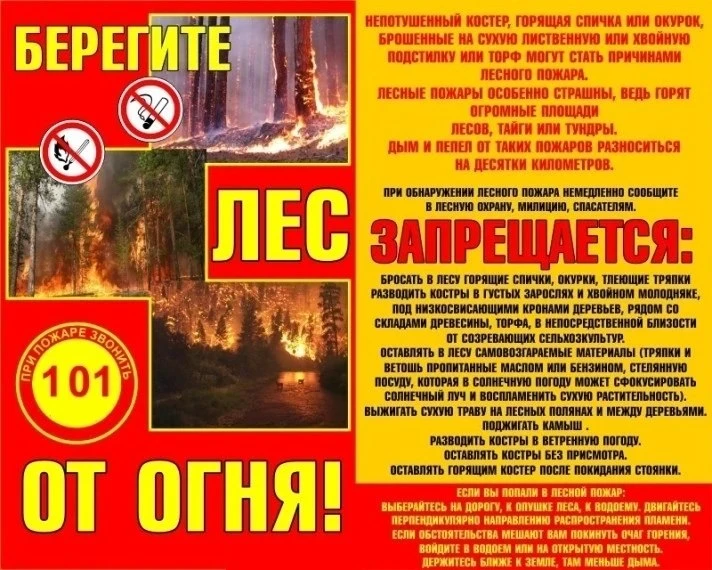 Берегите лес!