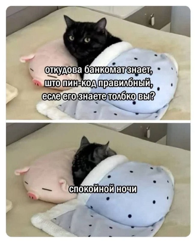Всем ночь!)
