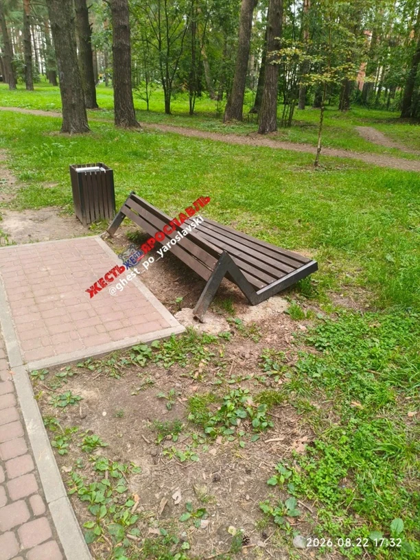 «Прилёг отдохнуть». Только недавно завершилось благоустройство Экопарка в Заволжском ра...
