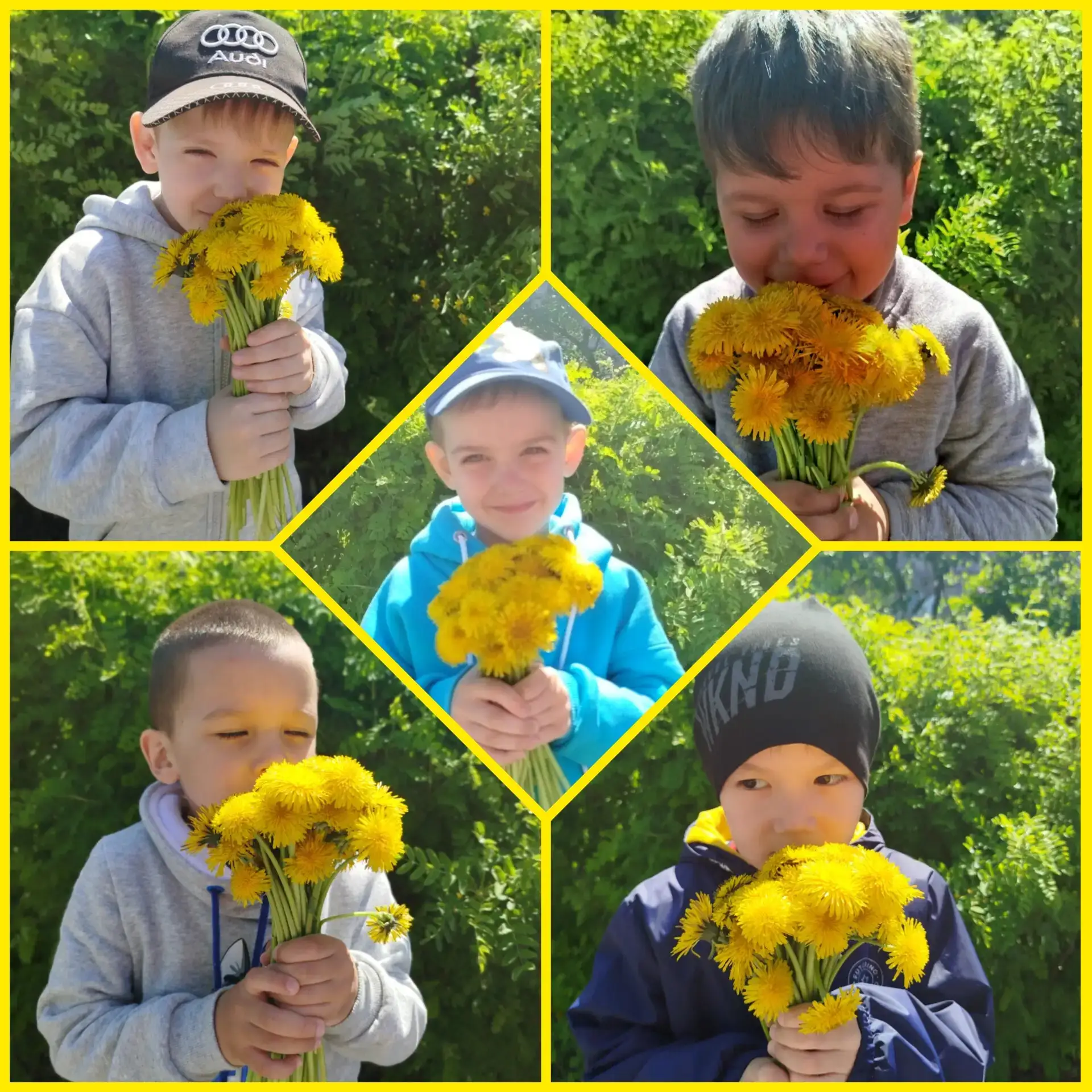 🌼 Сегодня — День одуванчика! 🌼