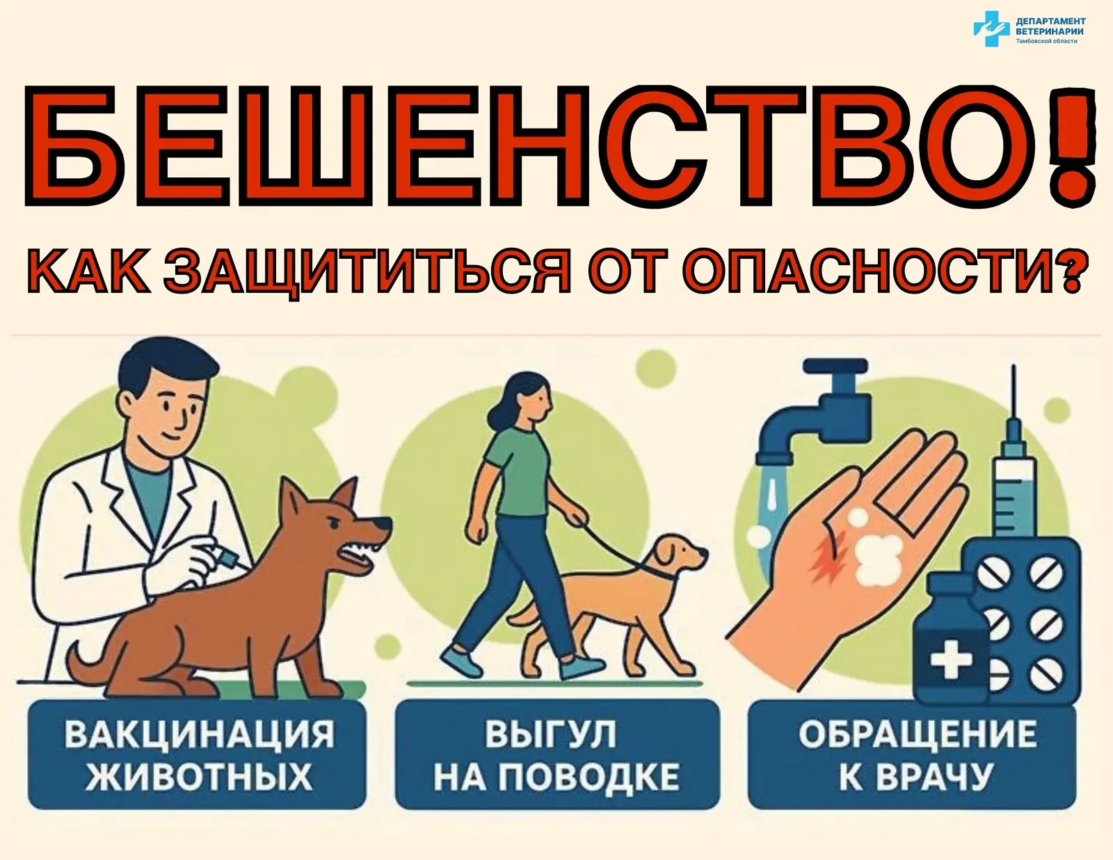 Вирус бешенства опасен не только для скота, но и для человека. К сожалению, больных жив...