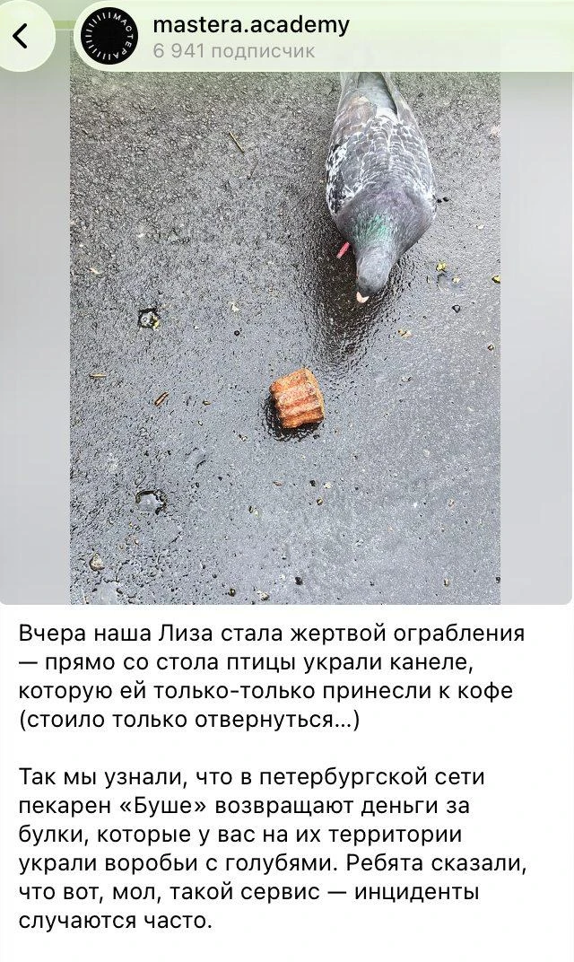 На голубях и воробьях тоже можно делать пиар

Начну понедельник с легкого. Пекарня Буше, оказывается