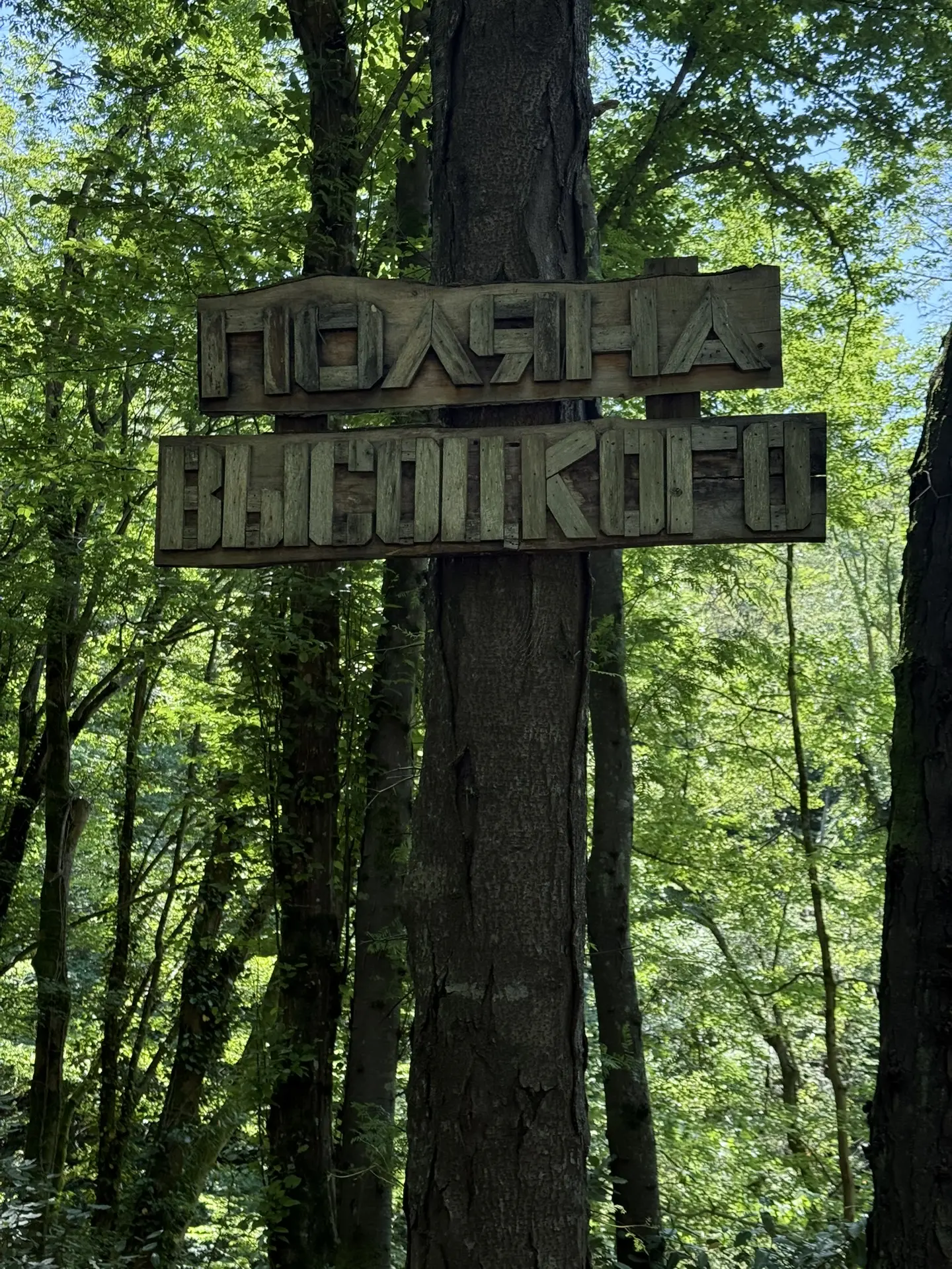 Район Мацесты в Сочи мое самое любимое место. Из центра сюда ехать всего минут 15 на автобусе. Сплош