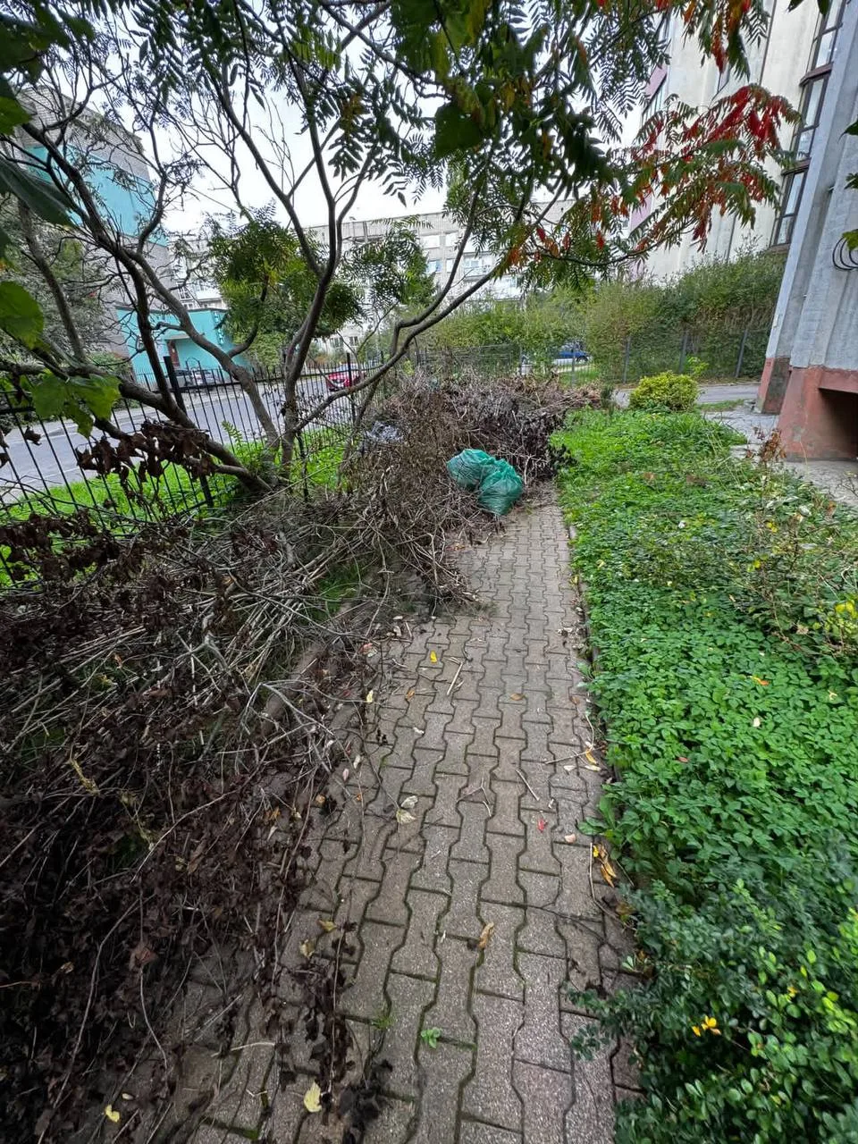 По адресу: г. Калининград, ул. Ростовская, д. 32, следующая ситуация: