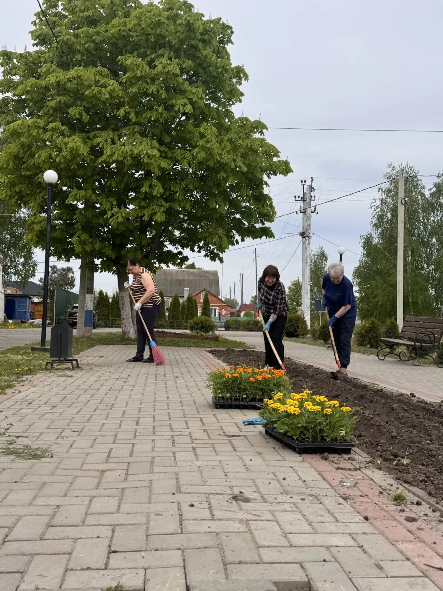 Работа по благоустройству территории муниципального округа продолжается. В общественных...
