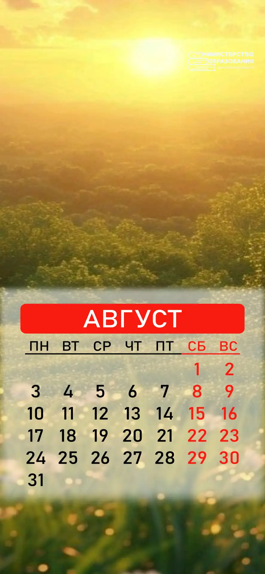 ☀️Сегодня начался август — самый насыщенный и запоминающийся месяц лета!