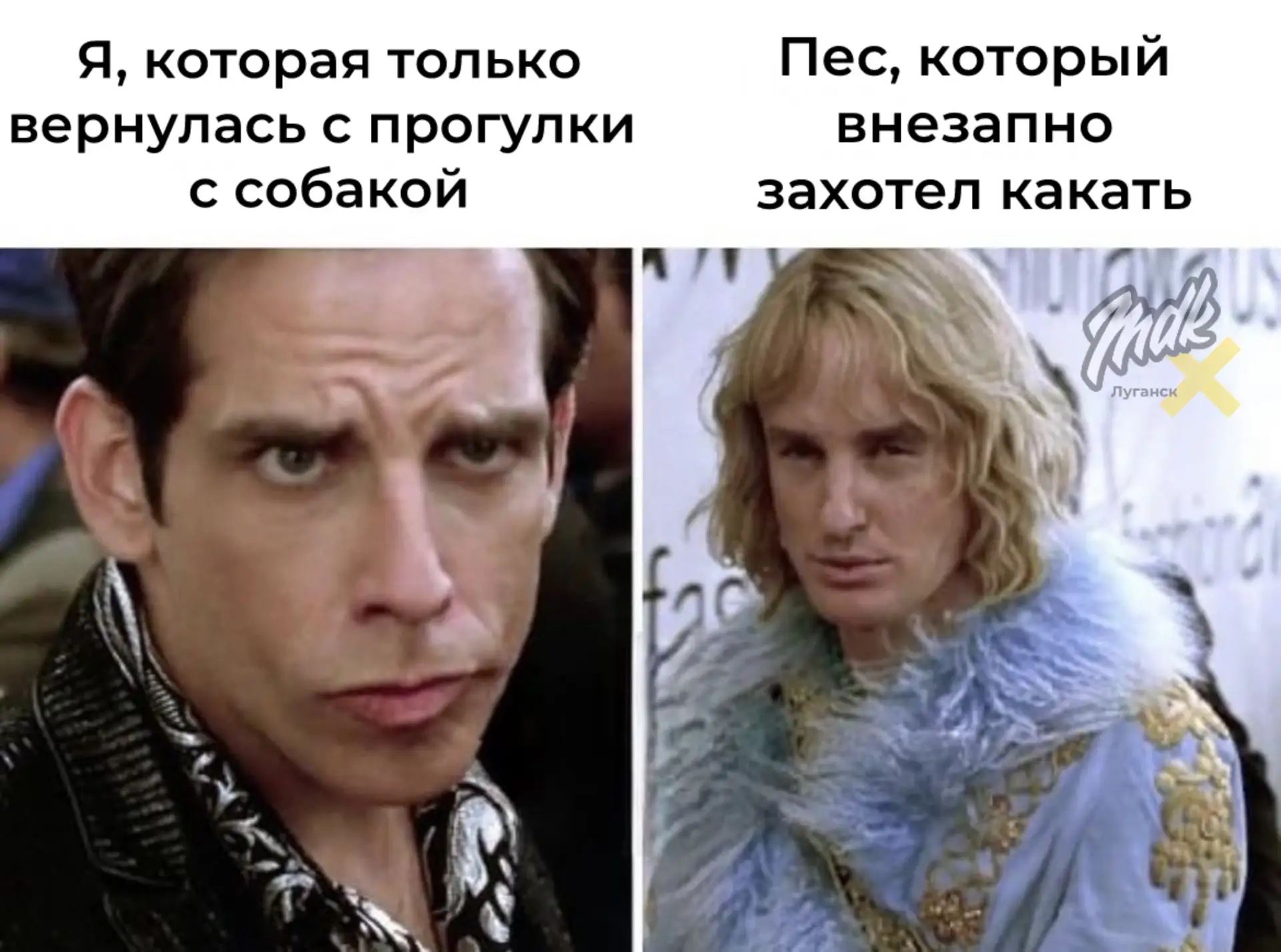 🐶 В ЛНР могут официально ужесточить правила выгула домашних животных

Если закон примут, владельцам