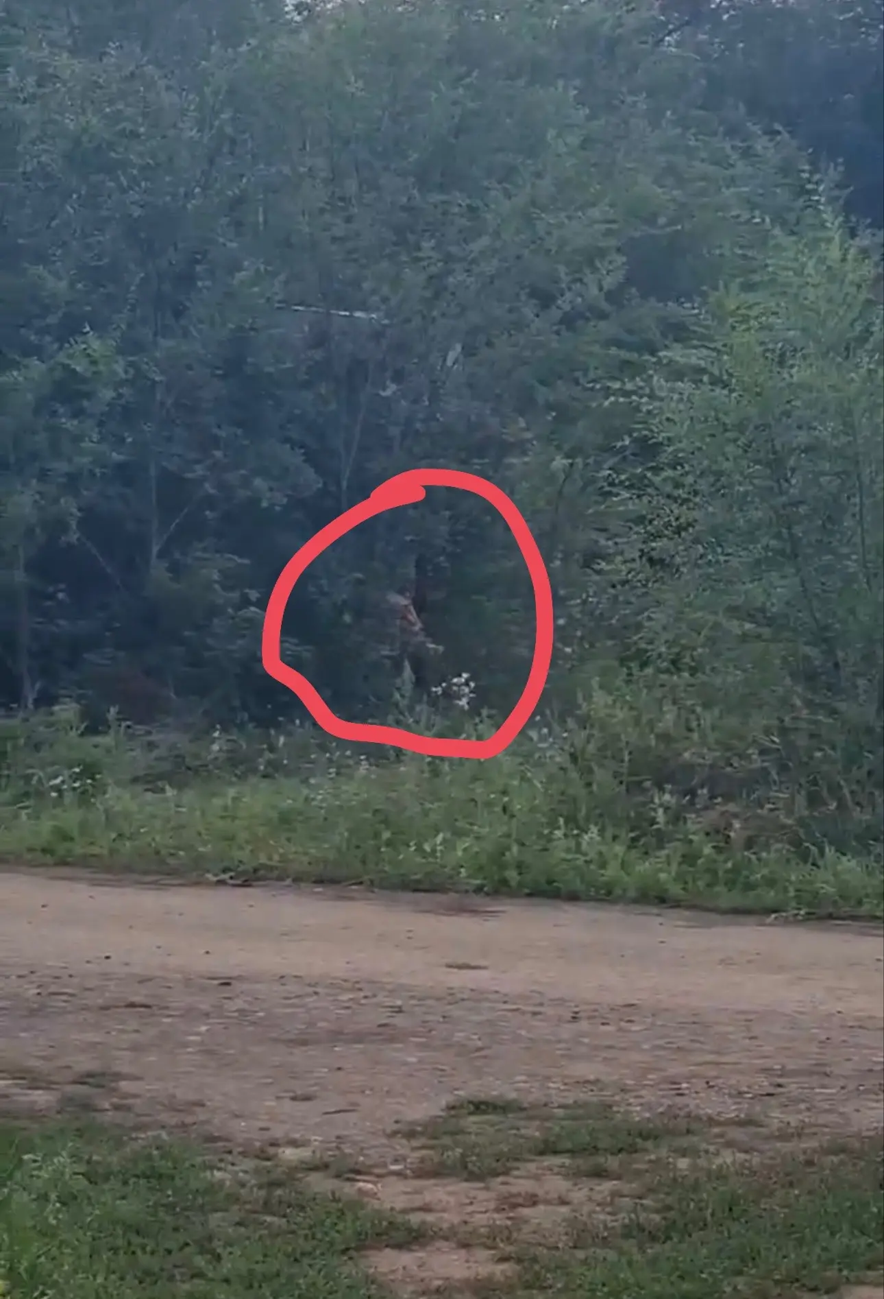 😱В Оренбурге появился извращуга около ТЦ Мармелад