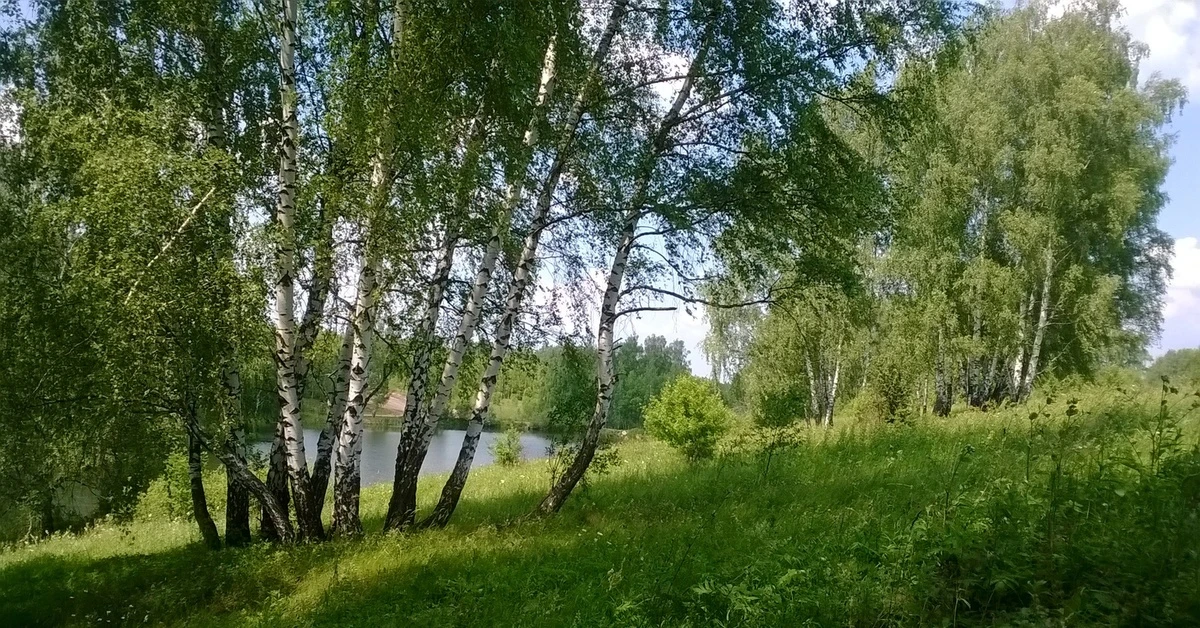 По данным Тульского центра по гидрометеорологии 20 августа: