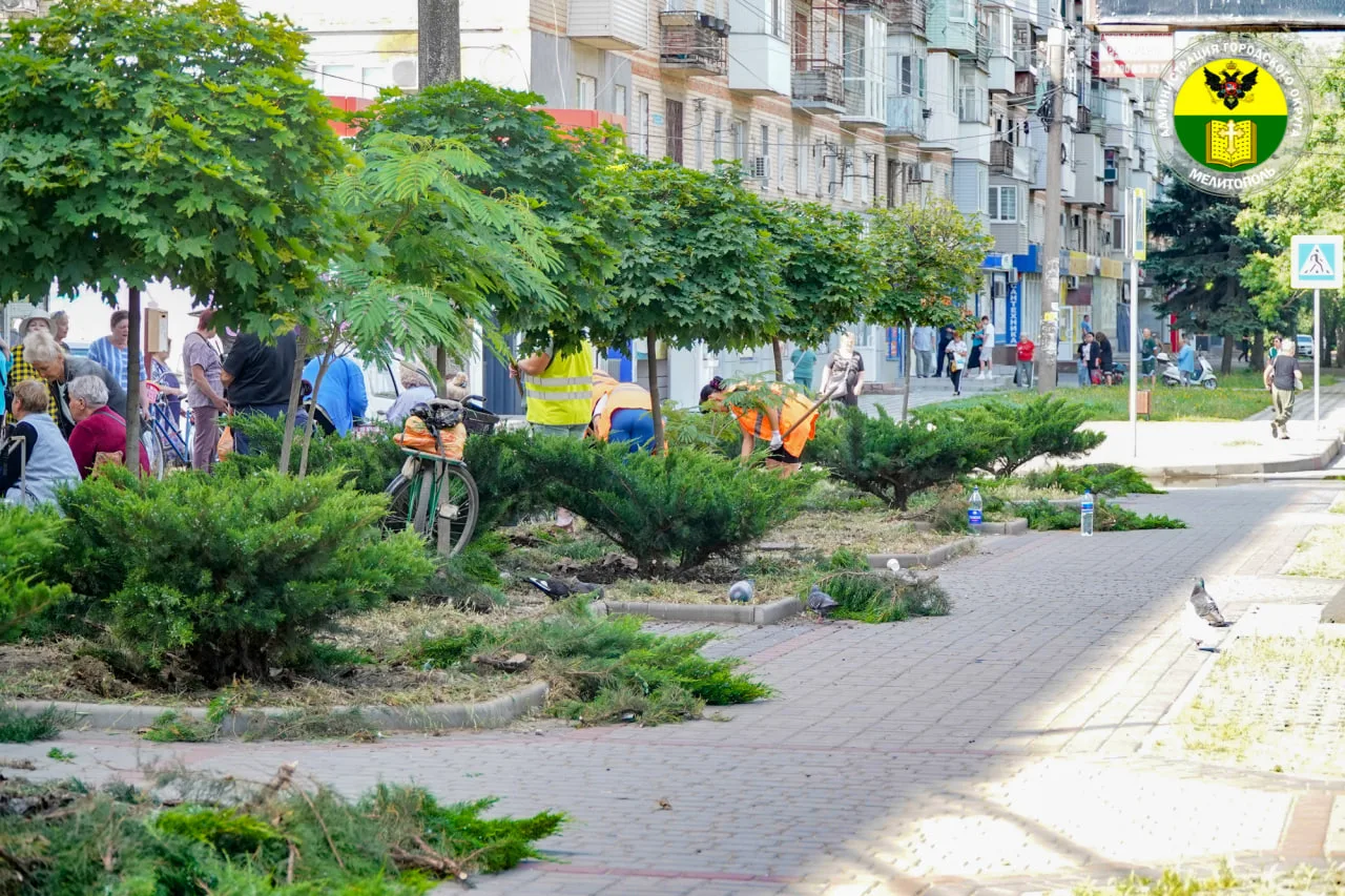 В нашем округе продолжаются работы по наведению порядка 

Коммунальные службы ежедневно трудятся над
