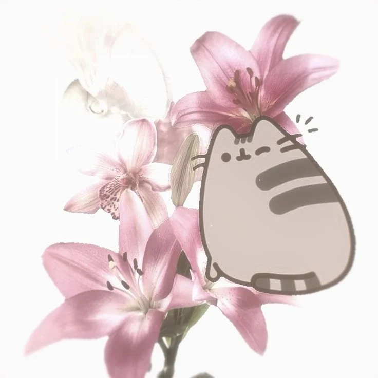 ♡Пушин ≽^• ˕ • ྀི≼