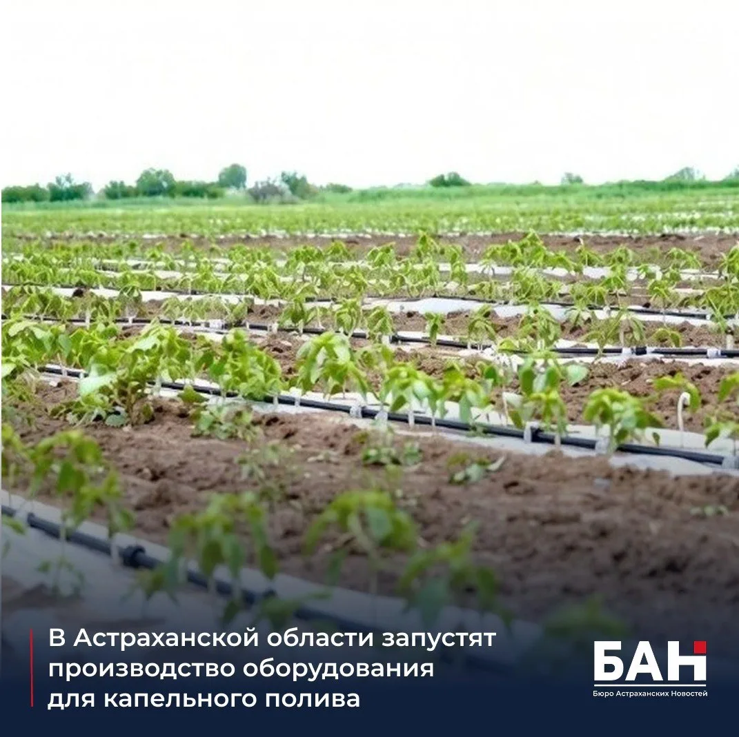 📌 Новый резидент ОЭЗ «Лотос» — компания «ВОСТОК» — создаст современное производство компонентов для